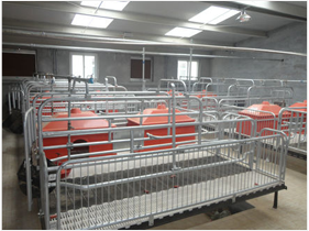 自動(dòng)喂料系統(tǒng)