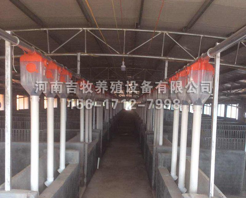 豬場供料系統(tǒng)