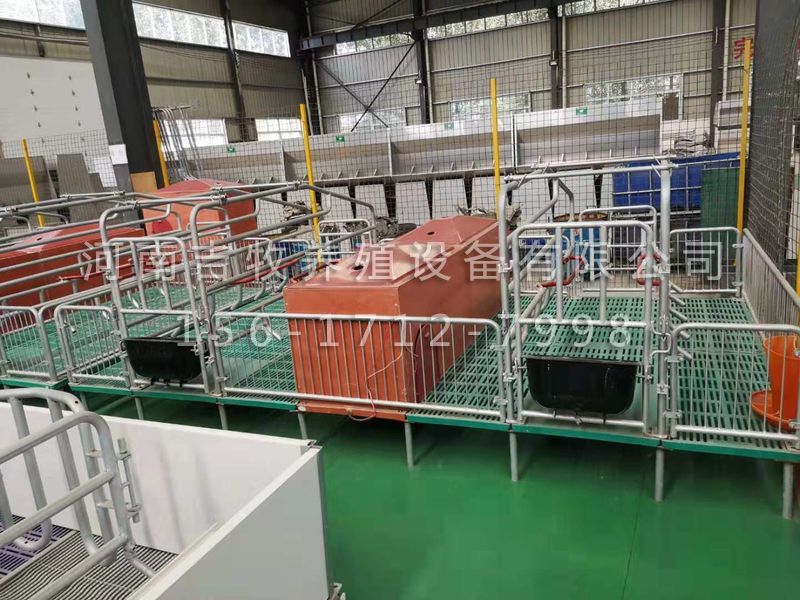 復(fù)合母豬產(chǎn)床