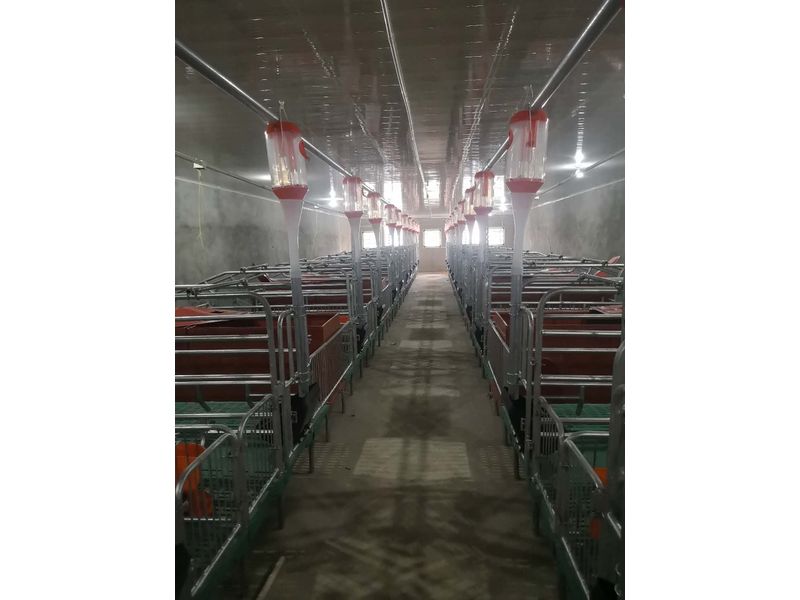 母豬產(chǎn)床廠家